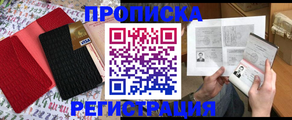 прописка поиск в Камышине